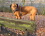 Dezember 2006