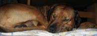 Januar 2007