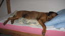 Juni 2007