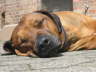 Mai 2005