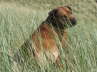 Mai 2007